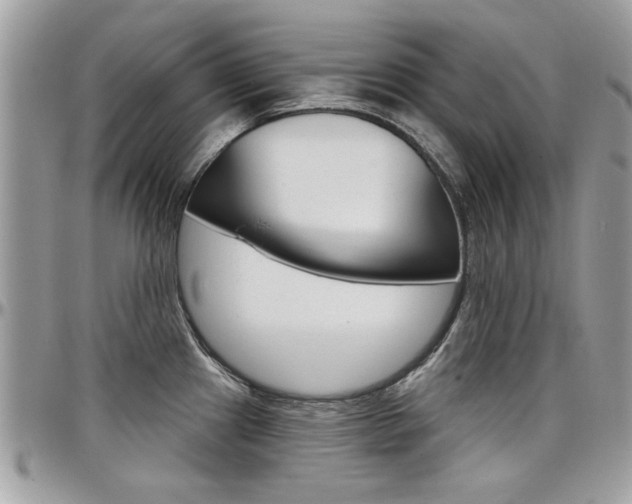 X0000097971241200803241012
