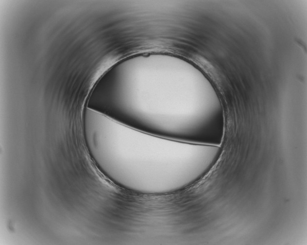 X0000097971242200803241012