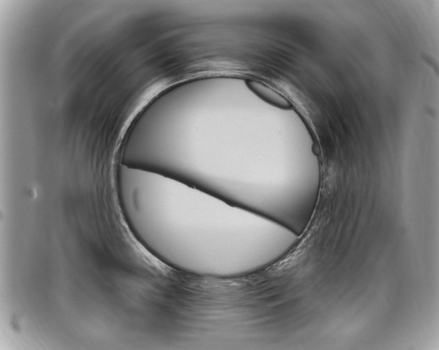 X0000097971243200803241012