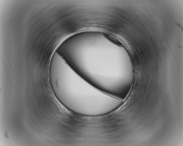 X0000097971244200803241012