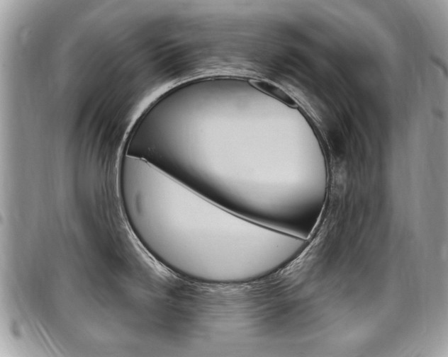 X0000097971246200803241012