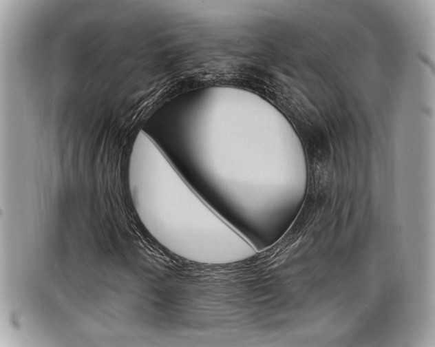 X0000097971250200803241012