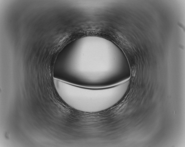 X0000097971252200803241012