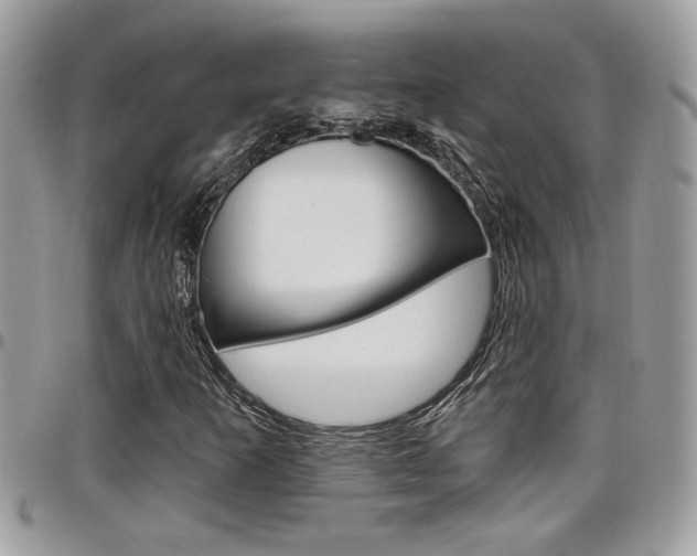X0000097971253200803241012