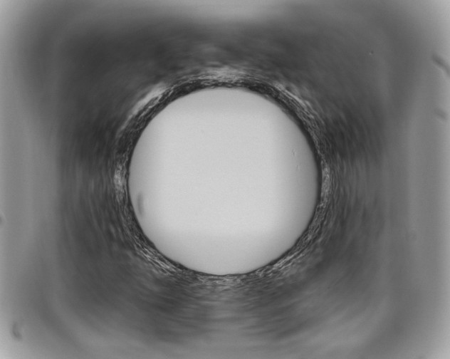 X0000097971254200803241012