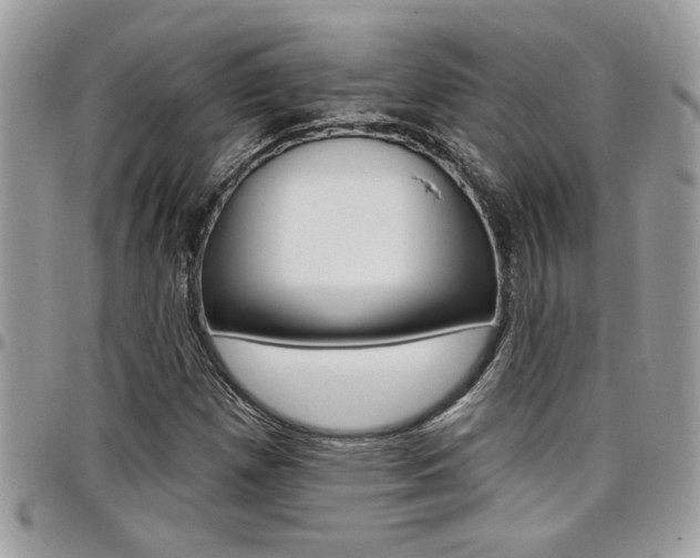 X0000097971257200803241012