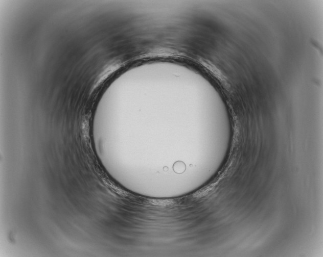 X0000097971258200803241012