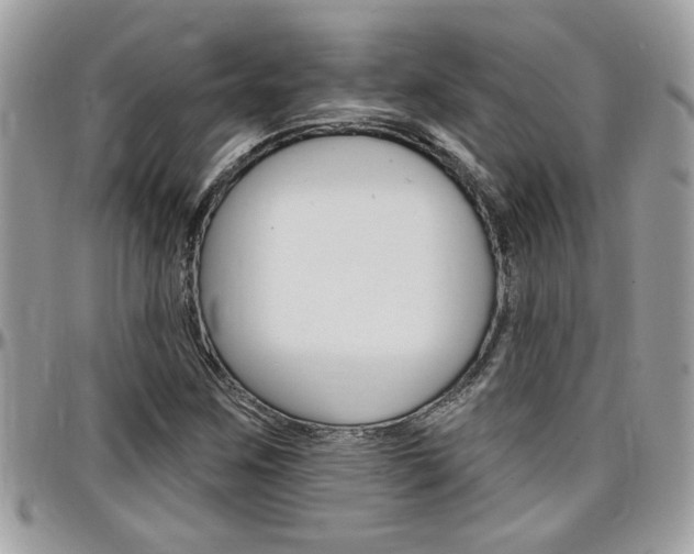 X0000097971259200803241012