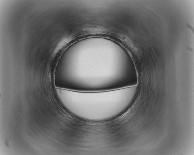 X0000097971261200803241012