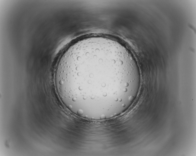 X0000097971263200803241012
