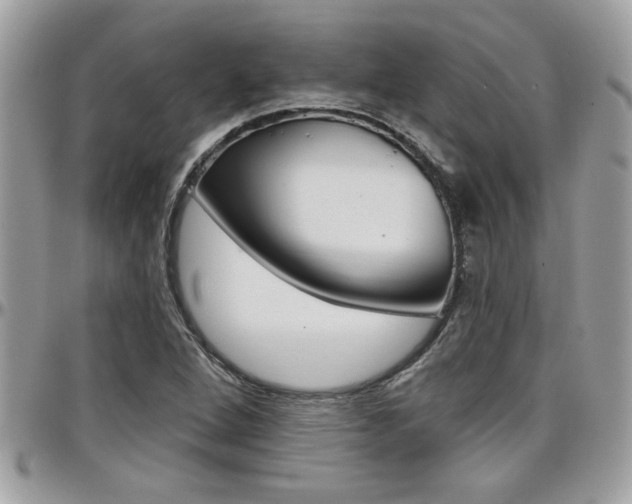 X0000097971264200803241012