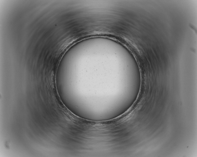 X0000097971265200803241012