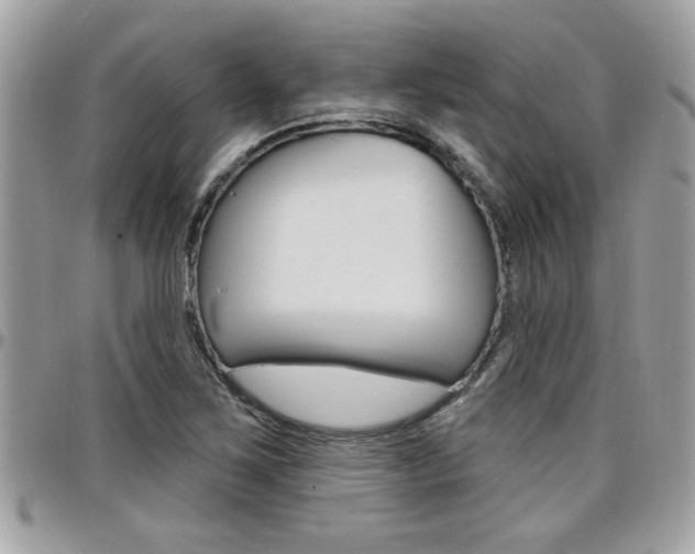 X0000097971267200803241012