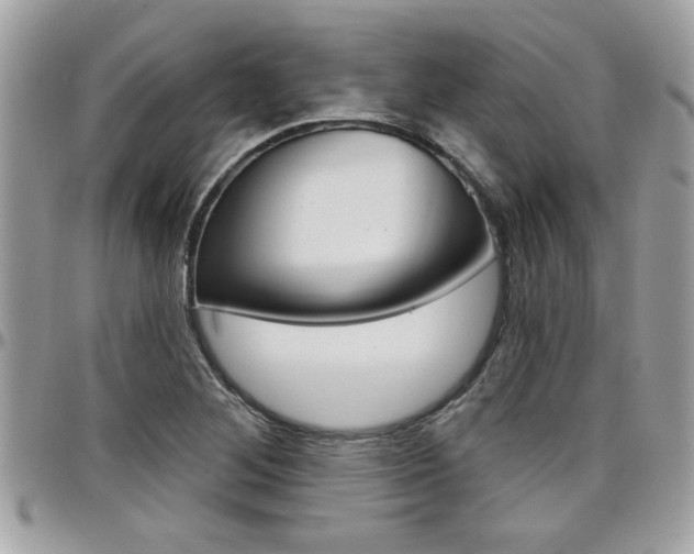 X0000097971268200803241012