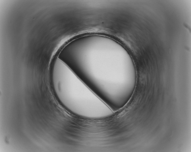 X0000097971270200803241011