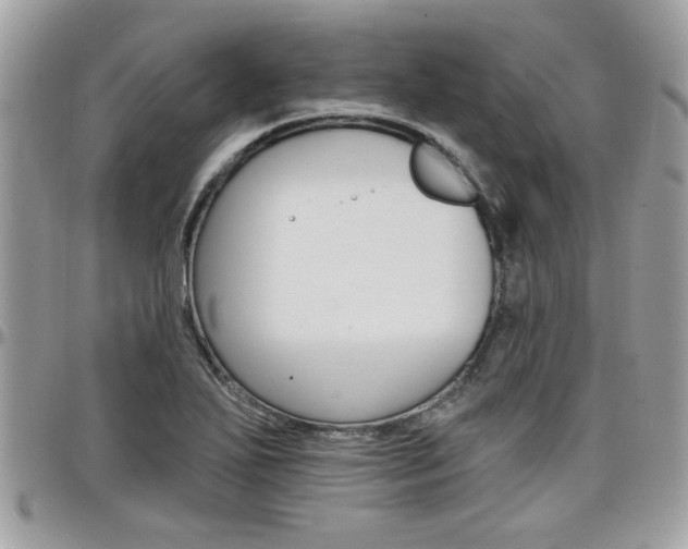 X0000097971271200803241011