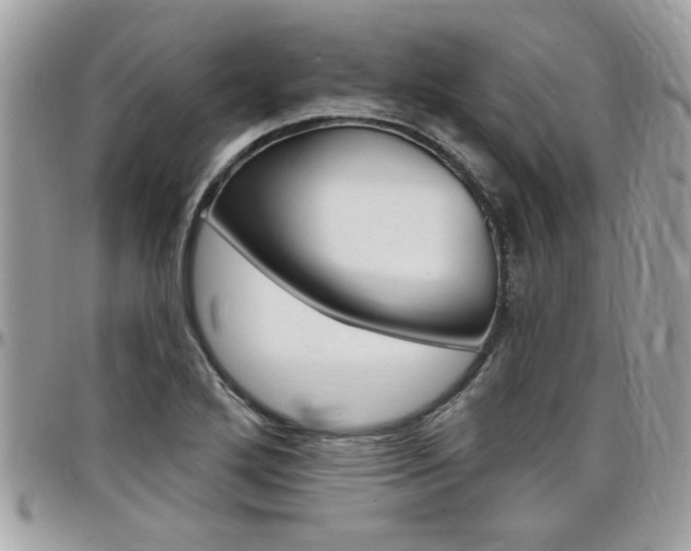 X0000097971272200803241011