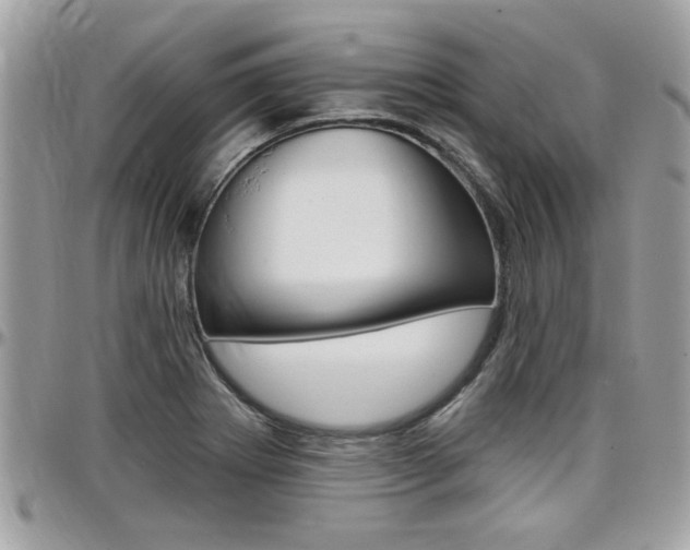 X0000097971273200803241011