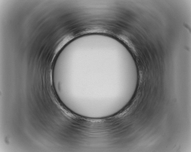 X0000097971274200803241011