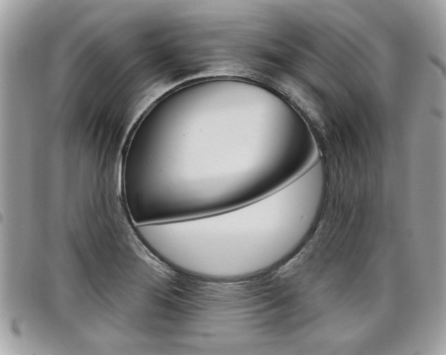X0000097971276200803241011