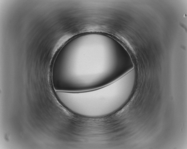 X0000097971277200803241011