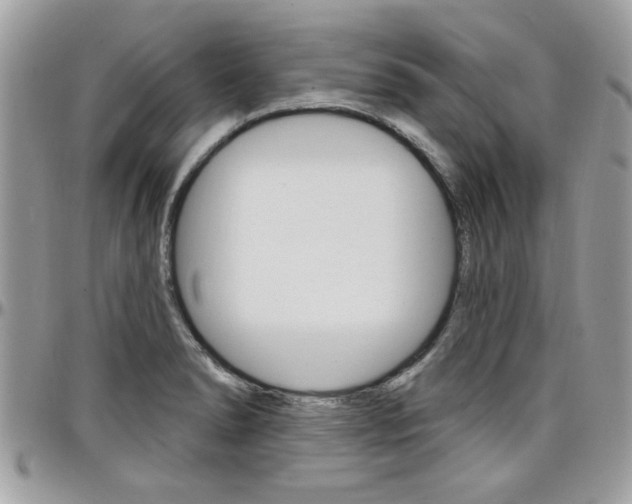 X0000097971278200803241011
