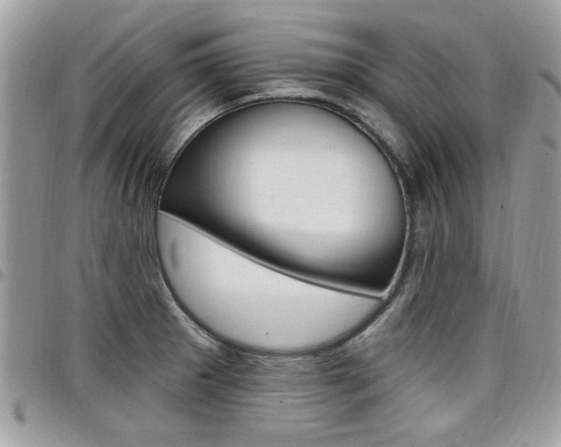 X0000097971281200803241011