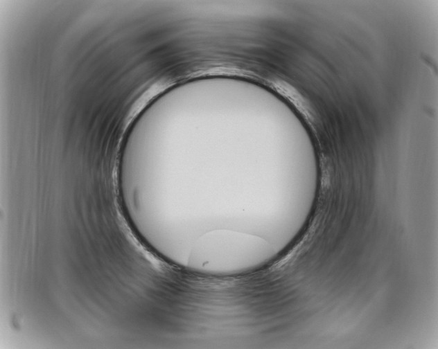 X0000097971282200803241011