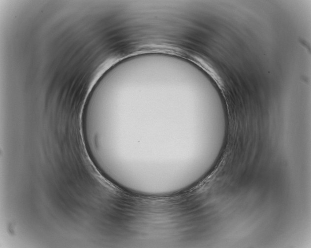 X0000097971283200803241011
