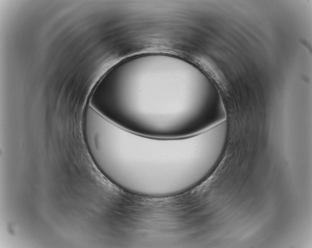 X0000097971284200803241011