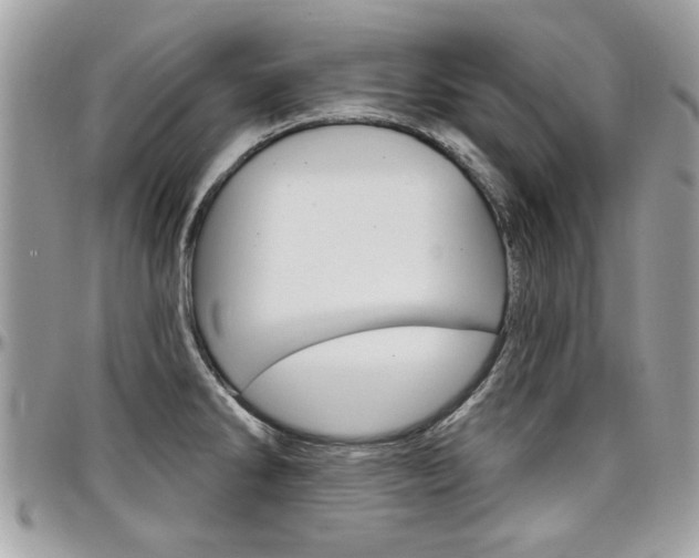 X0000097971286200803241011