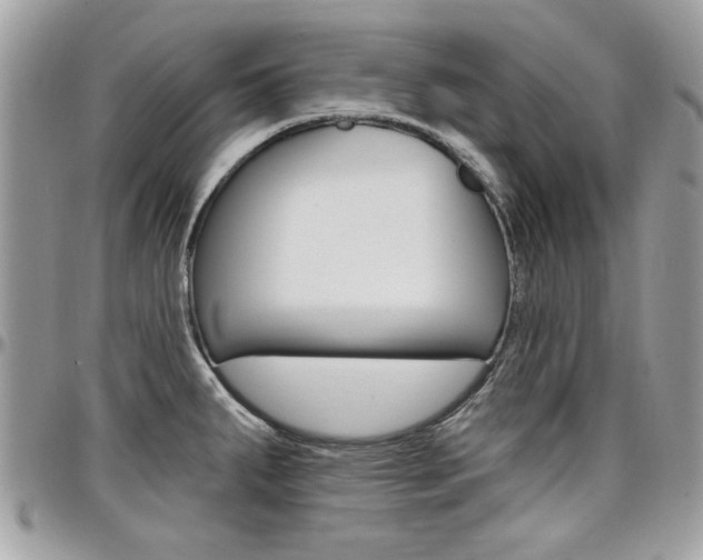 X0000097971287200803241011