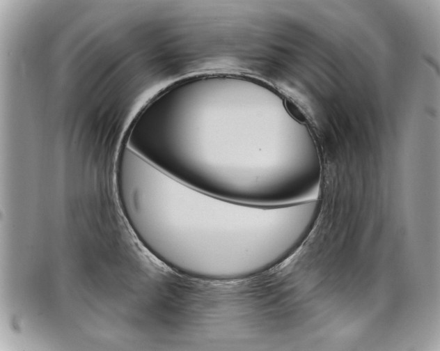 X0000097971288200803241011