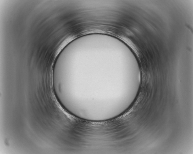 X0000097971290200803241011