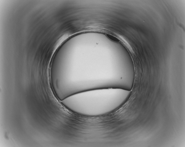X0000097971291200803241011