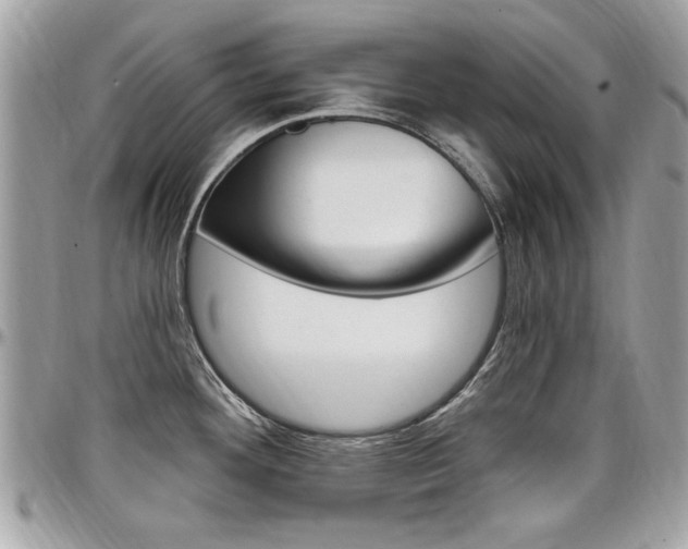 X0000097971292200803241011