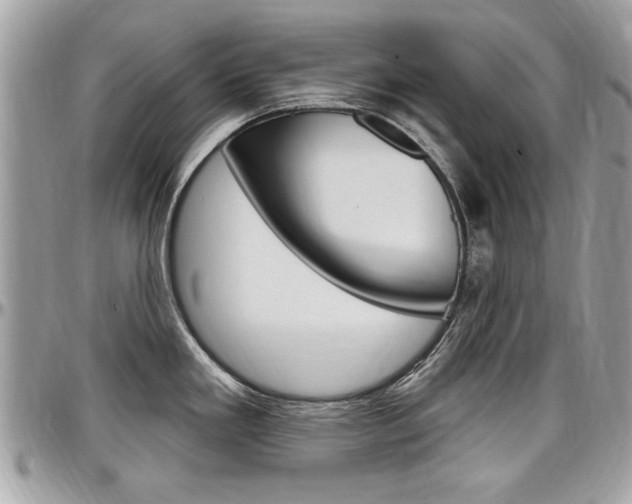 X0000097971293200803241011