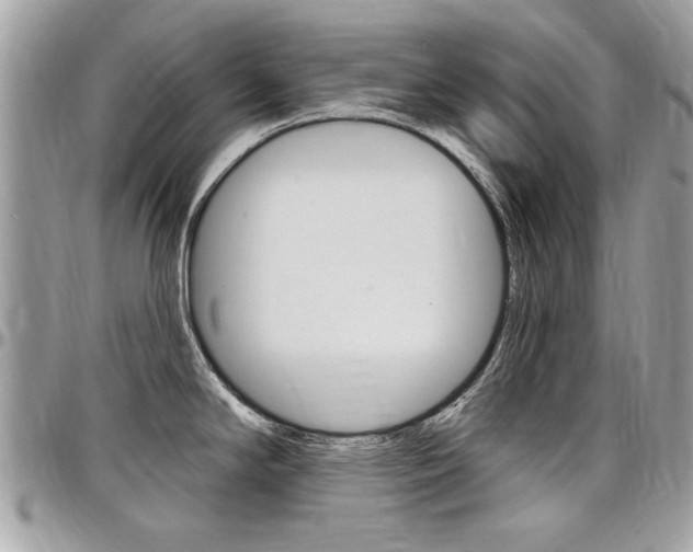 X0000097971294200803241011