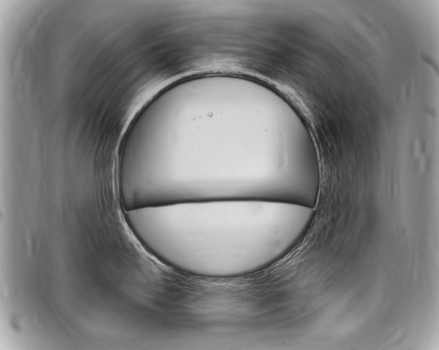 X0000097971295200803241011