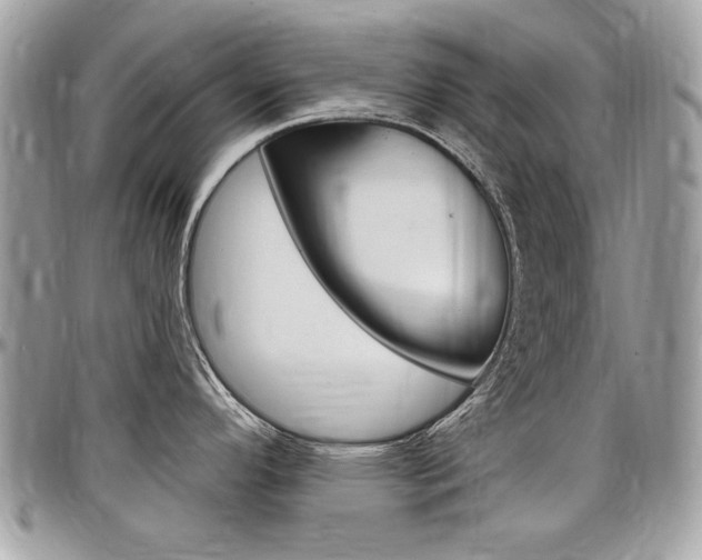X0000097971296200803241011