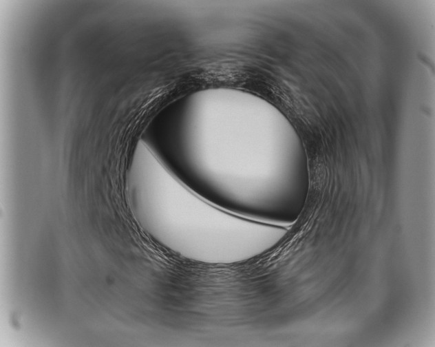 X0000097971297200803241010