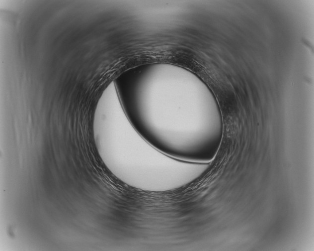 X0000097971298200803241010