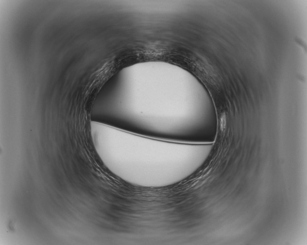 X0000097971299200803241010