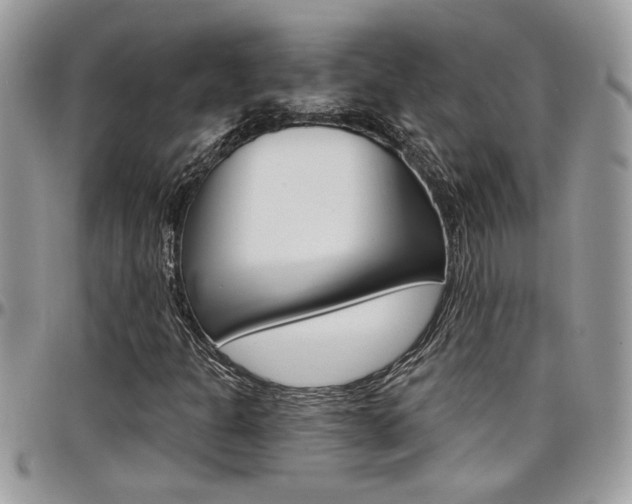 X0000097971301200803241010