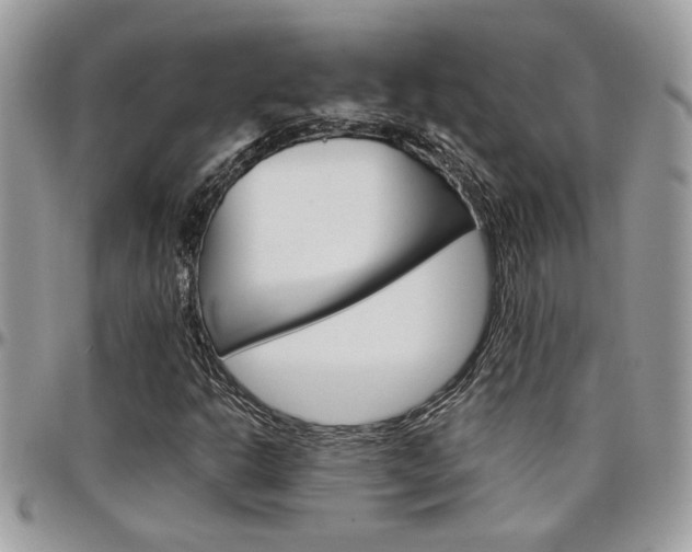 X0000097971302200803241010