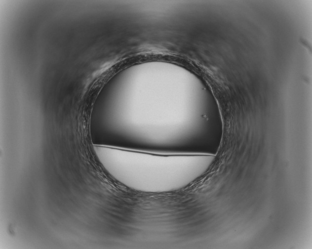 X0000097971303200803241010