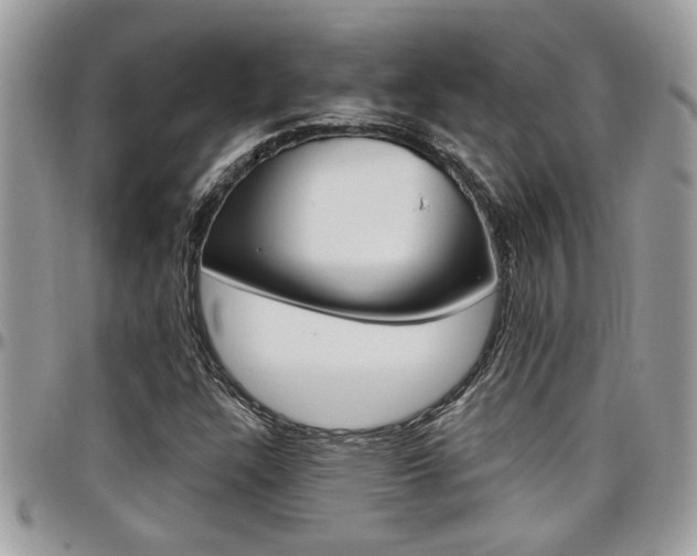 X0000097971304200803241010