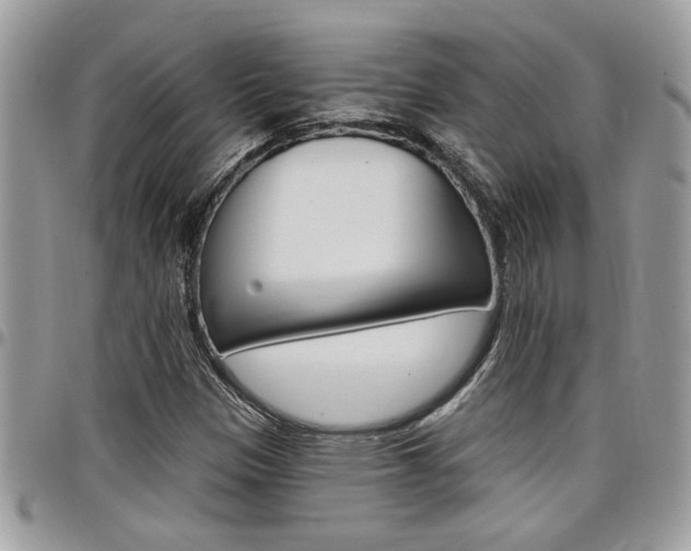 X0000097971305200803241010