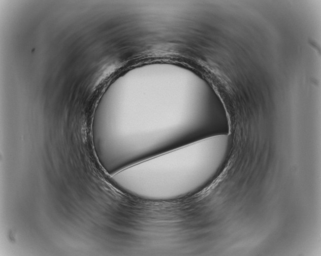 X0000097971306200803241010