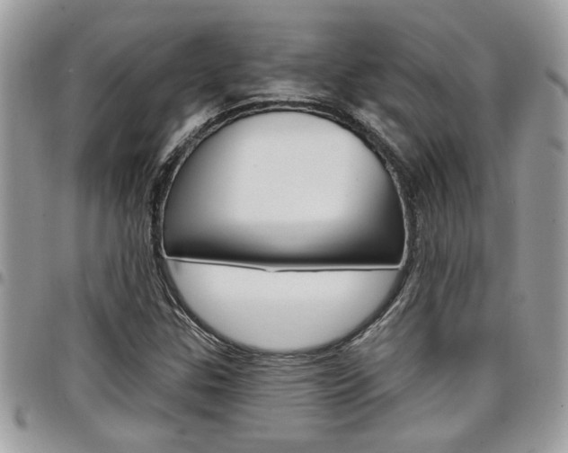 X0000097971307200803241010